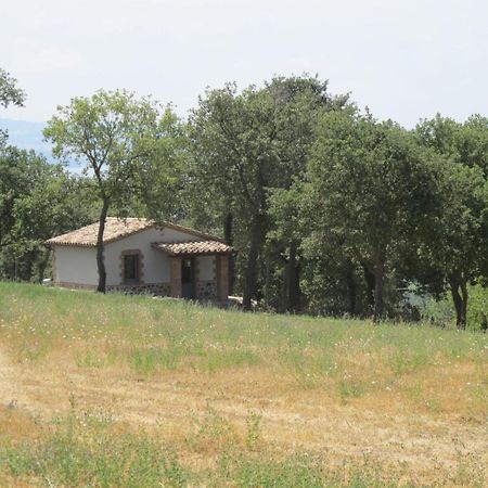 Holiday Home Il Podere Del Lago By Interhome 博尔塞纳 外观 照片