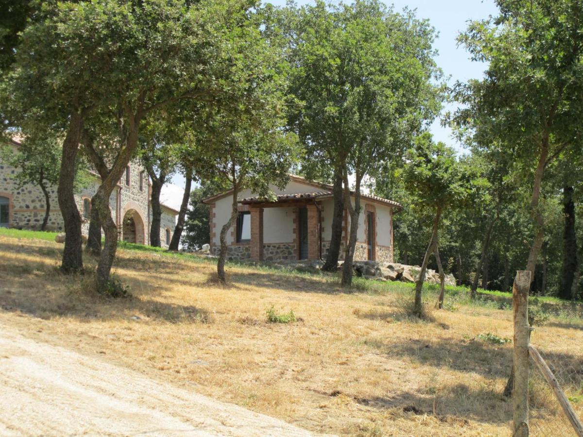 Holiday Home Il Podere Del Lago By Interhome 博尔塞纳 外观 照片