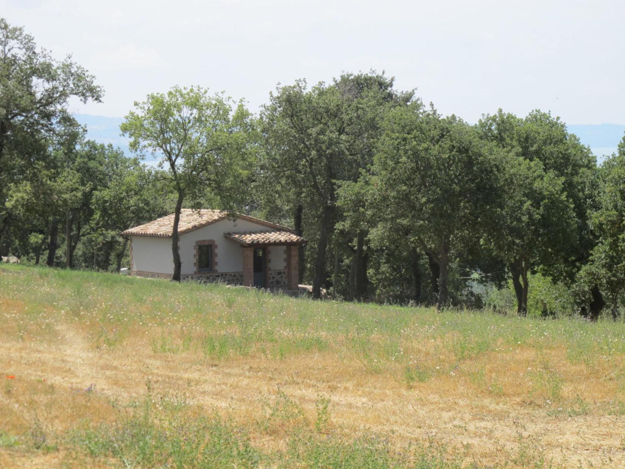 Holiday Home Il Podere Del Lago By Interhome 博尔塞纳 外观 照片